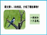 統(tǒng)編版(2024)語文一年級(jí)下冊--5《樹和喜鵲》第2課時(shí)（課件）