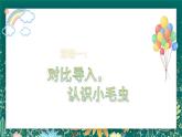 【核心素养】部编版小学语文二年级下册 22小毛虫 课件+教案（含教学反思）+素材