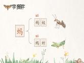 部编版2025春小学语文三年级下册第一单元《昆虫备忘录》 课件