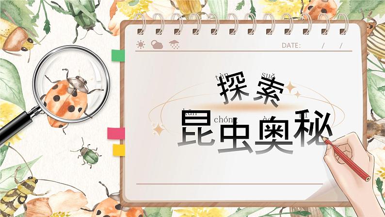 部编版2025春小学语文三年级下册第一单元《昆虫备忘录》 课件第7页