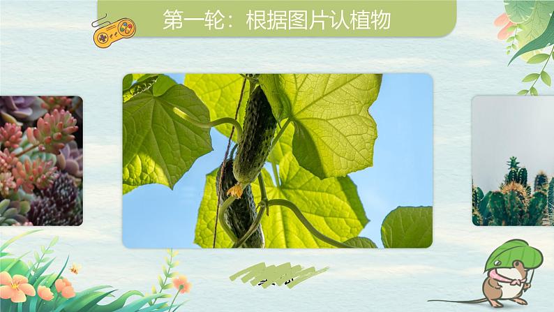 部编版2025春小学语文三年级下册第一单元习作《我的植物朋友》 课件第8页