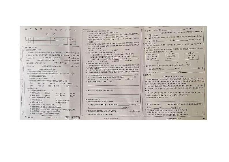 河北省衡水市武强县2024-2025学年五年级上学期期末语文试卷第1页