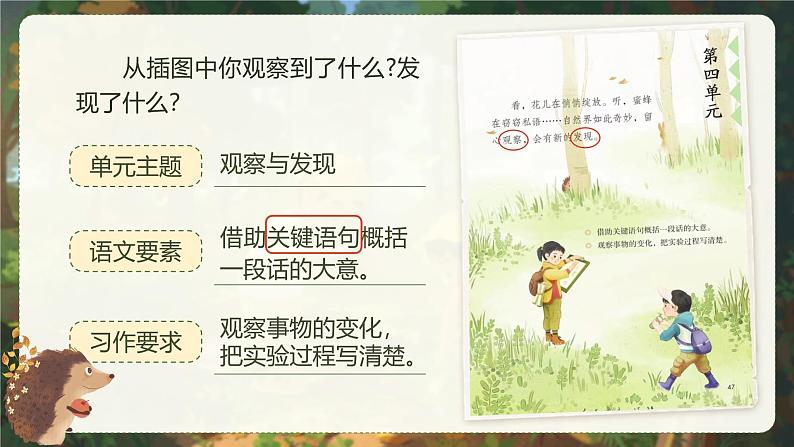 部编版2025春小学语文三年级下册第四单元单元导读《大自然研学之旅》 课件第2页