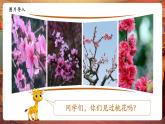 【核心素養(yǎng)優(yōu)質(zhì)課】部編版語文四下第4課《三月桃花水》(課件+同步教案+練習(xí)+音頻)