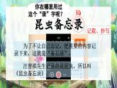 【新課標】人教部編版語文三下 4《昆蟲備忘錄》課件+教案+音視頻素材