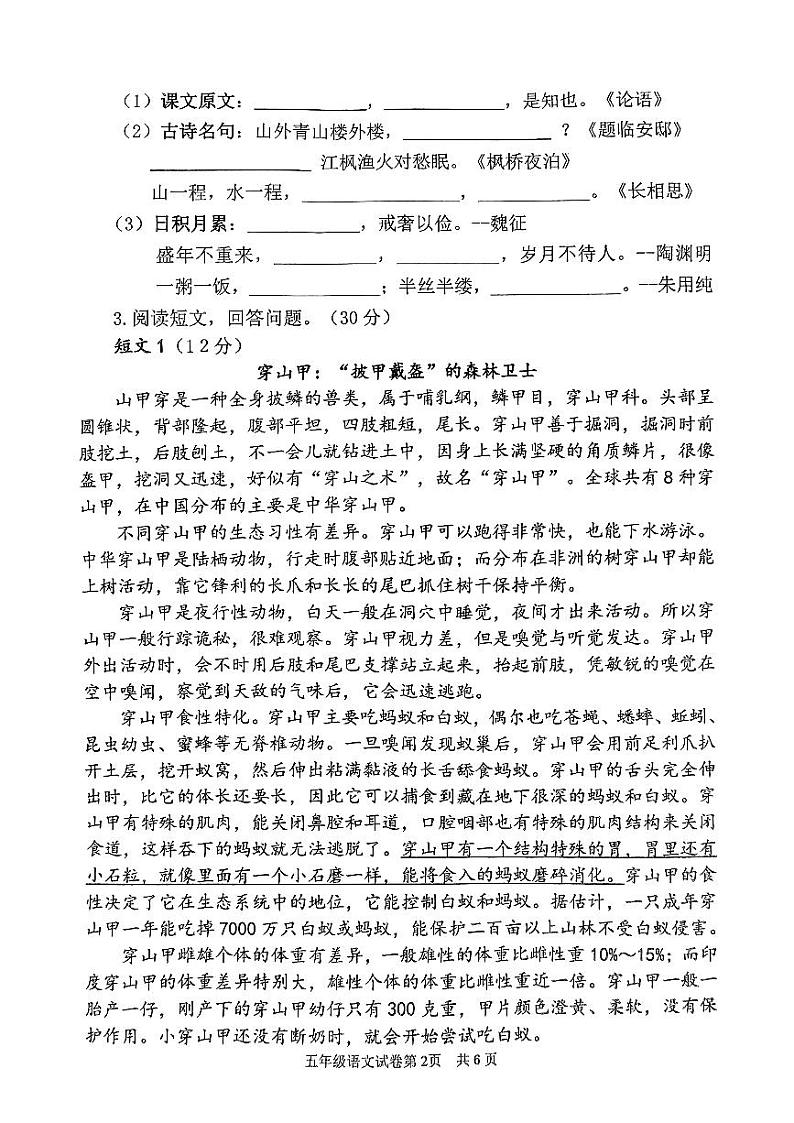 江苏省徐州市邳州市2024-2025学年五年级上学期1月期末语文试题第2页