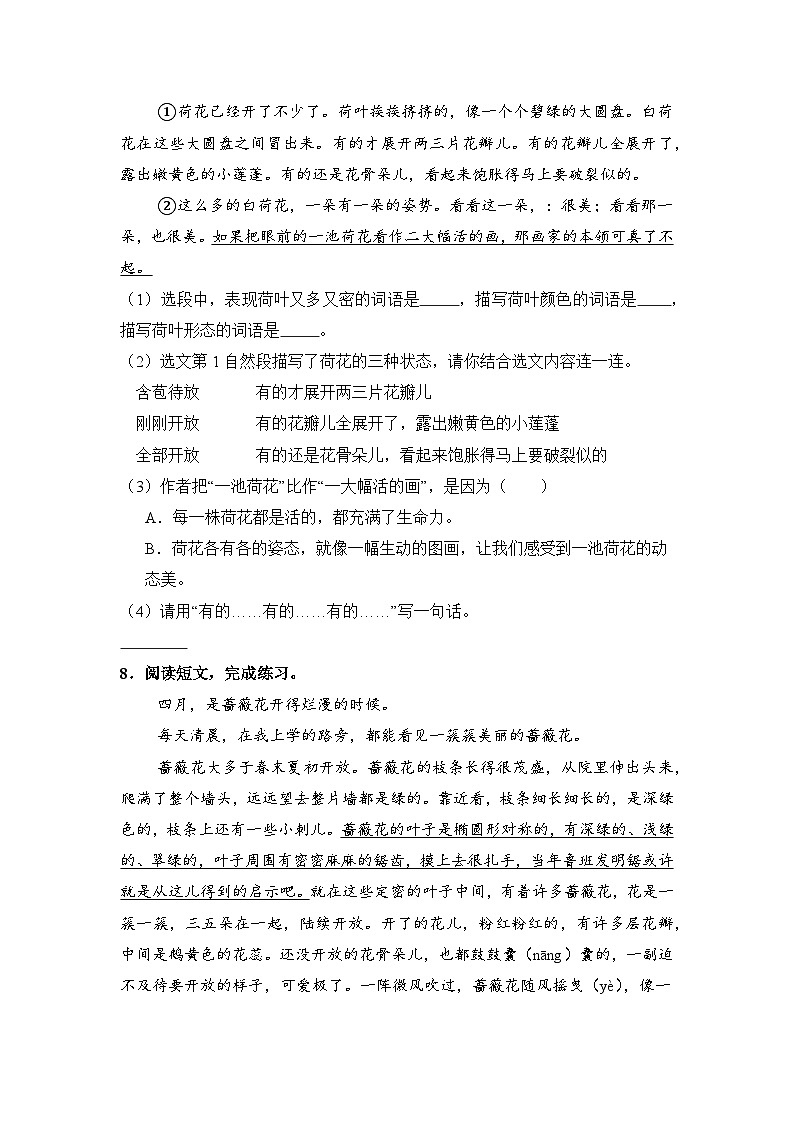 人教部编语文三年级下册 第1单元 3《荷花》同步练习（含解析）第3页