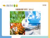【新课标】统编版（2024）语文一年级下册  第一单元《春夏秋冬》课件（第1课时）（含视频）+教案+字体