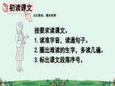 部编版（2024）一年级语文下册课件 第六单元 13 要下雨了