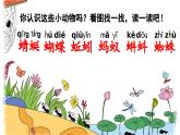 部编版（2024）一年级语文下册课件 第五单元 识字5 动物儿歌