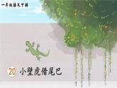 统编版（2024）语文一年级下册 第8单元  20 小壁虎借尾巴 PPT课件