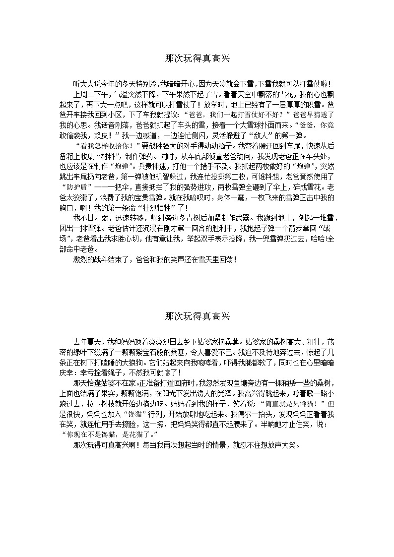 部编版小学语文三年级上册第八单元《那次玩得真高兴》优秀习作8篇+学案第2页