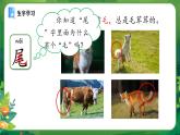 統(tǒng)編版語(yǔ)文一上 8《比尾巴》課件+教案+逐字稿+任務(wù)單+特色作業(yè)+音視頻素材