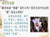 统编版（2024）语文一年级下册 第一单元 识字1 春夏秋冬  PPT课件