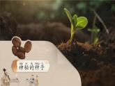 统编版语文一年级下册 识字8《人之初》课件+教案+音视频素材