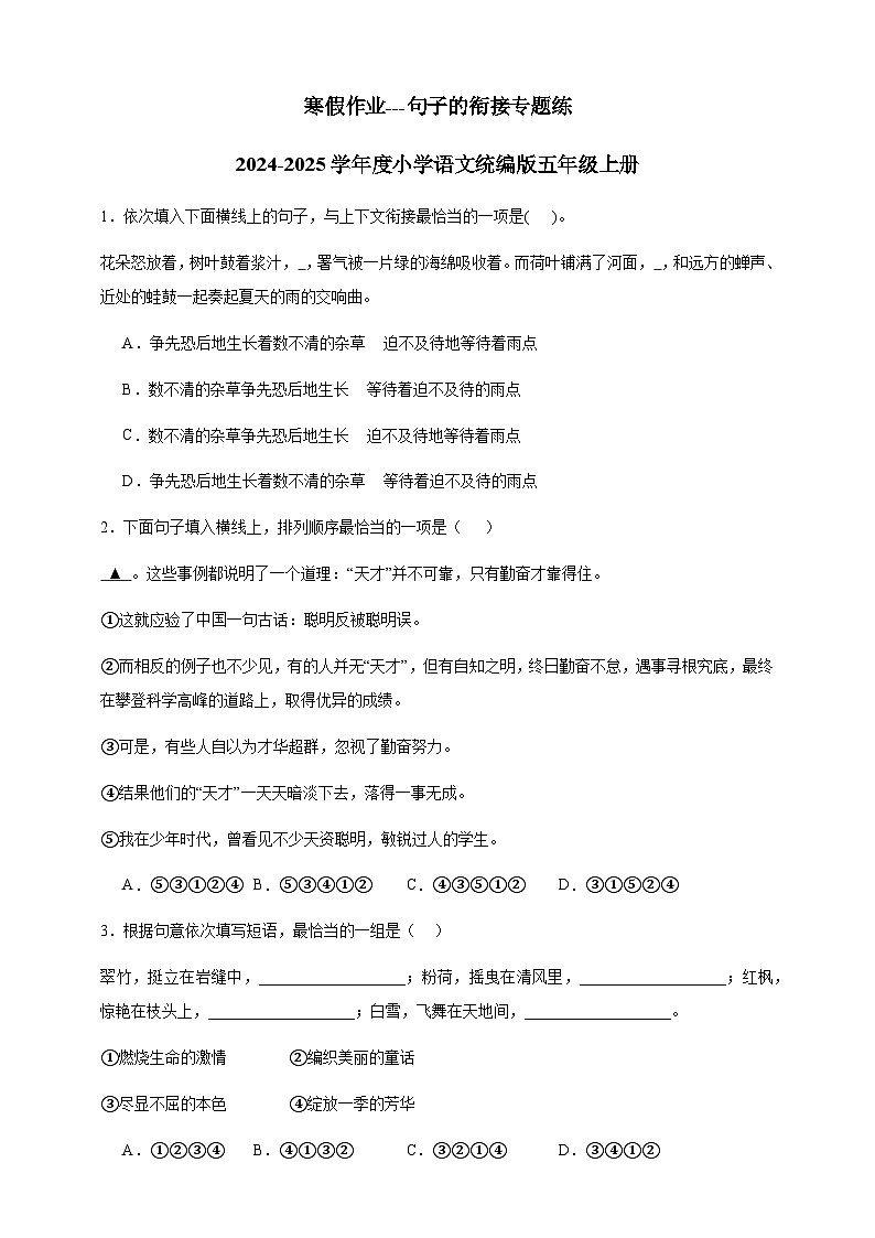 寒假作业---句子的衔接专题练       2024-2025学年度小学语文统编版五年级上册第1页