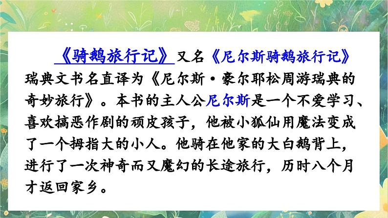 【核心素养】部编版小学语文六年级下册6 骑鹅旅行记（节选）-课件第3页