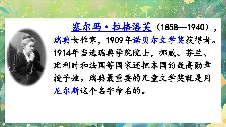 【核心素养】部编版小学语文六年级下册6 骑鹅旅行记（节选）-课件第4页