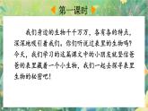 【核心素养】部编版小学语文六年级下册16 表里的生物-课件+教案+同步练习（含教学反思）