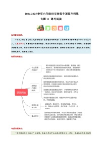 专题11 课外阅读-2024-2025学年六年级语文寒假专项提升训练（统编版）