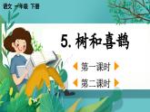 【核心素养】部编版小学语文一年级下册5 树和喜鹊-课件+教案+同步练习（含教学反思）