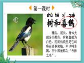 【核心素养】部编版小学语文一年级下册5 树和喜鹊-课件+教案+同步练习（含教学反思）