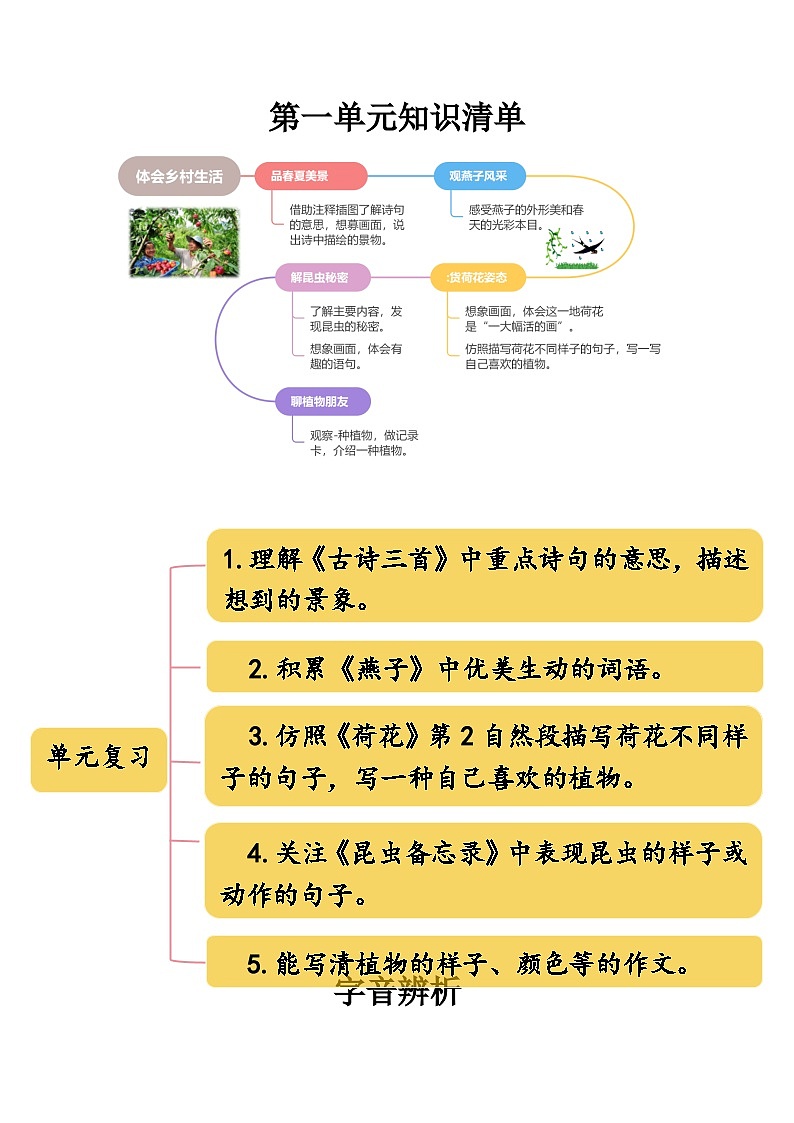 第一单元 （知识清单）-三年级语文下册同步高效课堂系列（统编版）第1页