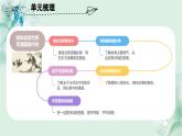 第二单元（复习课件）-三年级语文下册（统编版）