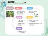 第一单元（复习课件）-三年级语文下册同步高效课堂系列（统编版）