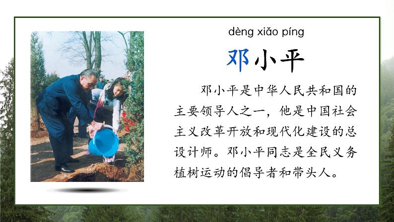 课文4 邓小平爷爷植树 课件第4页