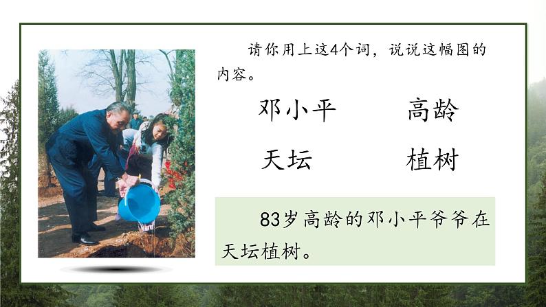 课文4 邓小平爷爷植树 课件第7页