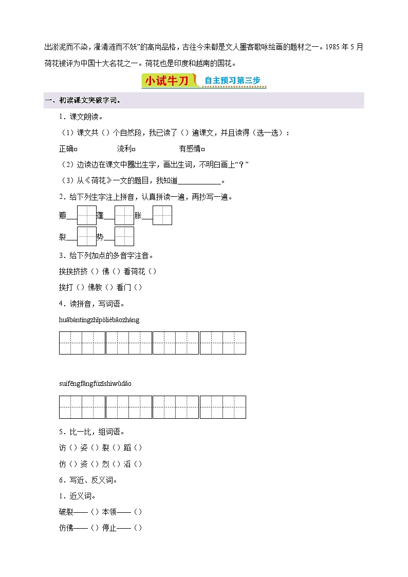 第3课《荷花》-2024-2025学年三年级语文下册寒假自学讲义（统编版）第2页