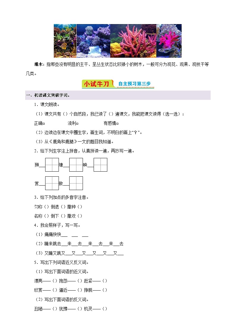 第7课《鹿角和鹿腿》-2024-2025学年三年级语文下册寒假自学讲义（统编版）第2页