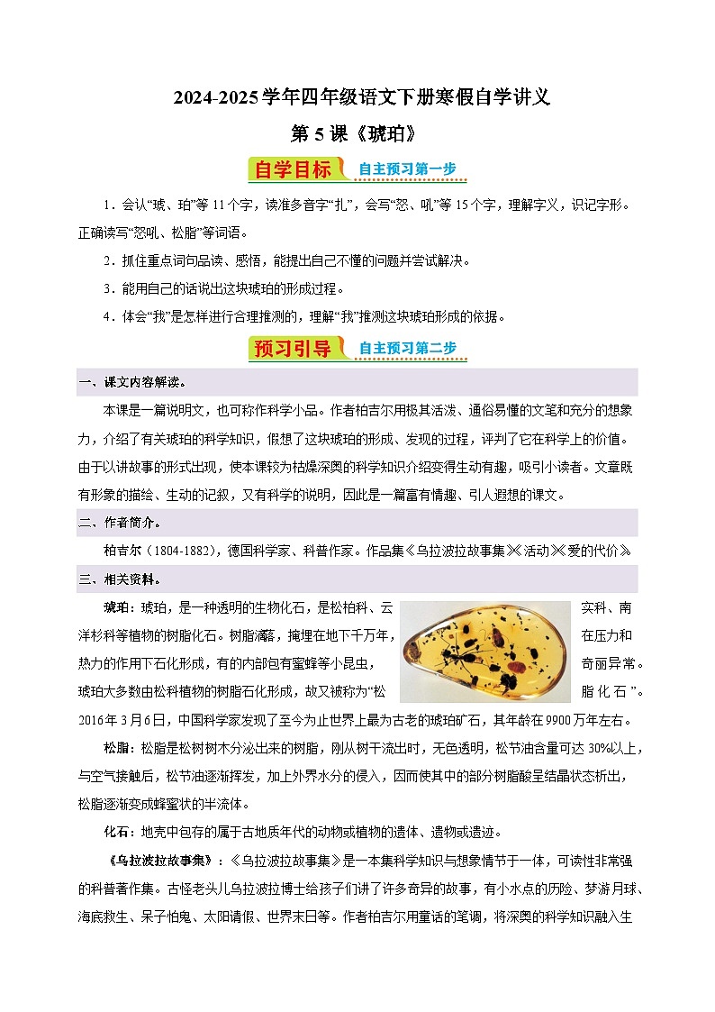 第5课《 琥珀》-2024-2025学年四年级语文下册寒假自学讲义（统编版）第1页
