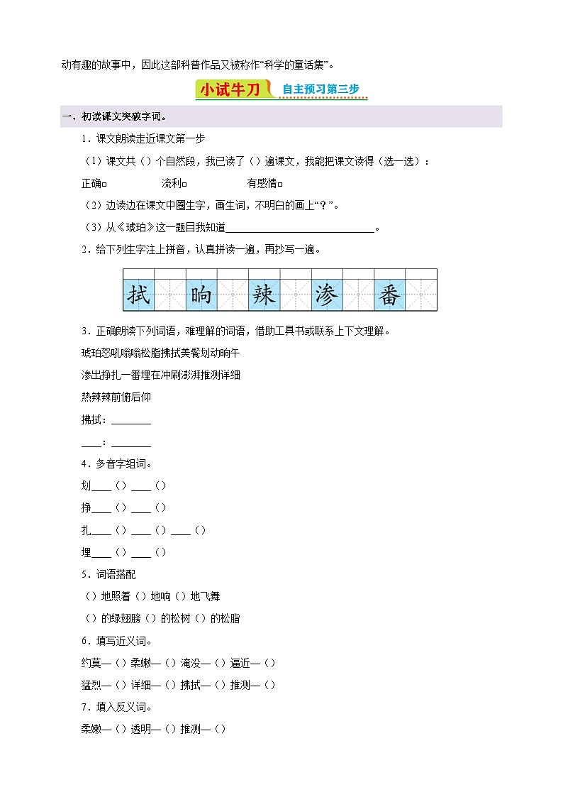 第5课《 琥珀》-2024-2025学年四年级语文下册寒假自学讲义（统编版）第2页