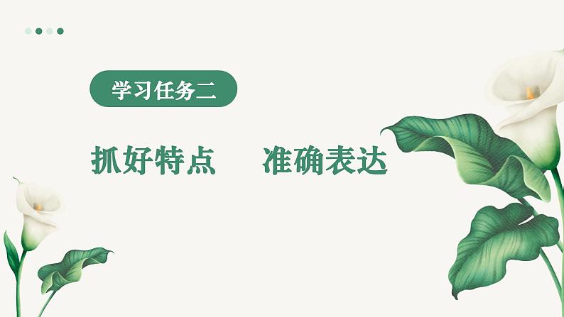 【核心素养】部编版小学语文二年级下册语文园地一同步课件第8页