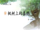 部编版语文二年级下册 9《枫树上的喜鹊》课件+教案+逐字稿+音视频素材
