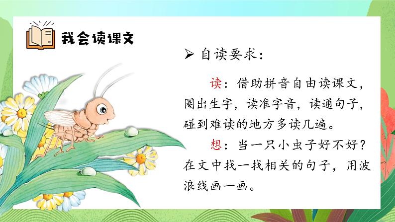 课文11 我是一只小虫子 课件第6页