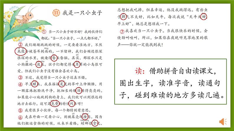 课文11 我是一只小虫子 课件第7页