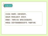 【备课无忧】统编版二下-13. 画杨桃（两课时）（课件+教案+学案+习题）