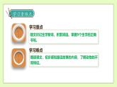 【备课无忧】统编版二下-20. 蜘蛛开店（两课时）（课件+教案+学案+习题）
