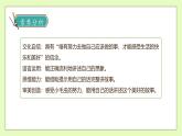 【备课无忧】统编版二下-22. 小毛虫（两课时）（课件+教案+学案+习题）