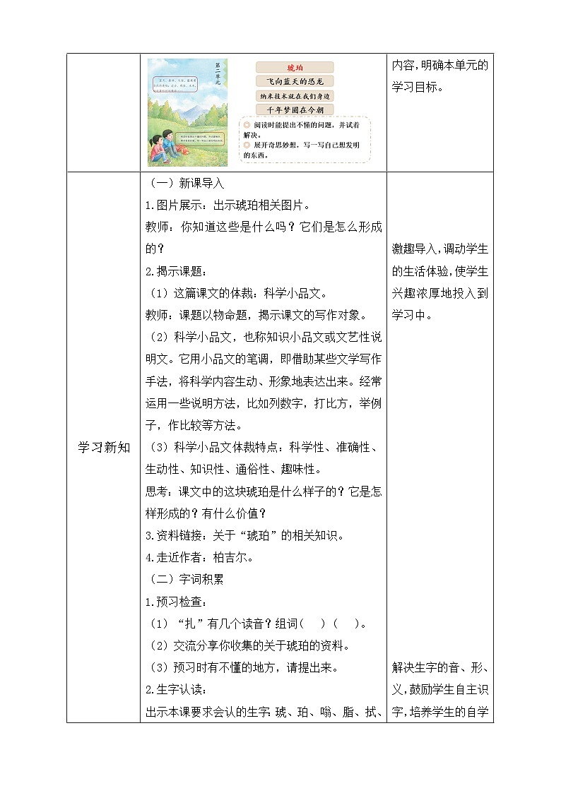 【备课无忧】统编版四下-5.琥珀 第1课时（教学设计含反思）第2页