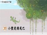 部编版（2024）一年级语文下册课件 第八单元 20 小壁虎借尾巴
