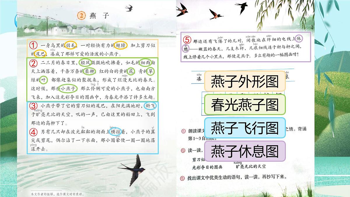 统编版三年级下册语文 第2课 《燕子》 课件第8页
