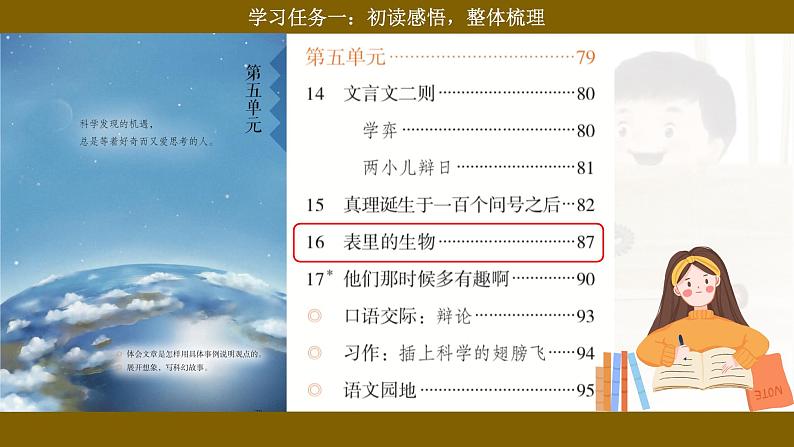 统编版小语文六下 16《表里的生物》课件第2页