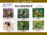 【核心素养目标】统编版小语文六下16《表里的生物》课件+教案+分层作业（含答案和教学反思）