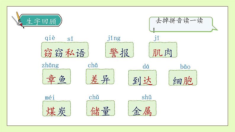 【备课无忧】统编版三下-23. 海底世界 第2课时（课件）.pptx第8页