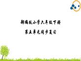 部编版小学语文六年级下册第五单元复习课件