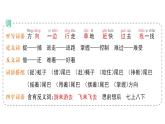 小学语文新部编版一年级下册第八单元20 小壁虎借尾巴作业课件2025春